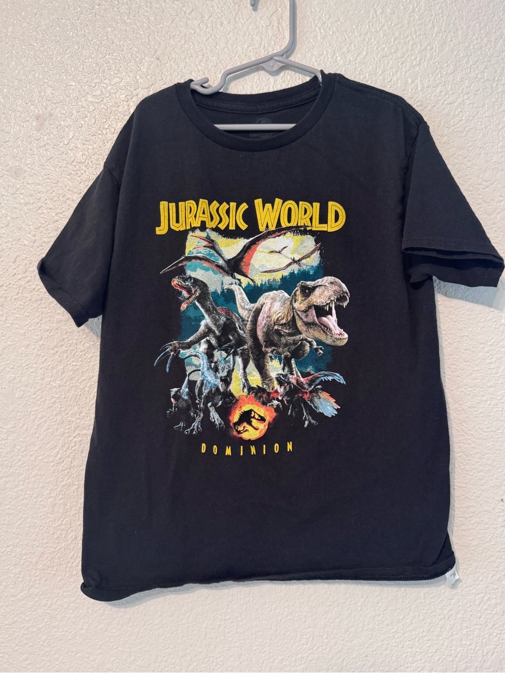 Hollister Black Jurassic World Dominion Tee with Multicolor Dinosaur Art